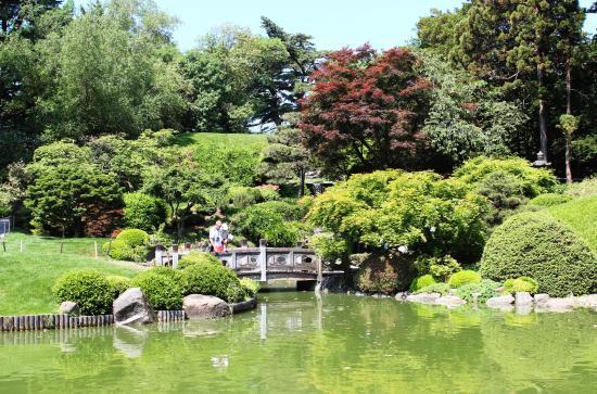 Jardín Botánico de Brooklyn